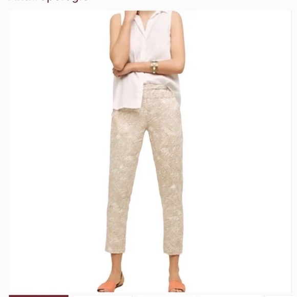 HEI hei anthropologie marnee joggers pants. NWT. size S. A1605/P3 - Picture 2 of 7